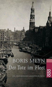 Der Tote im Fleet - Boris Meyn - E-Book