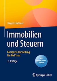Immobilien und Steuern - Jürgen Lindauer - E-Book