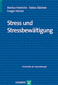 Stress und Stressbewältigung - Markus Heinrichs - E-Book