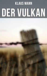 Der Vulkan - Klaus Mann - E-Book