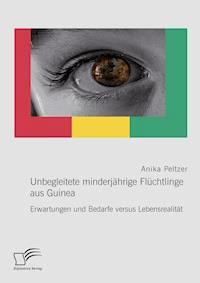 Unbegleitete minderjährige Flüchtlinge aus Guinea. Erwartungen und Bedarfe versus Lebensrealität - Anika Peltzer - E-Book