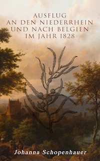 Ausflug an den Niederrhein und nach Belgien im Jahr 1828 - Johanna Schopenhauer - E-Book