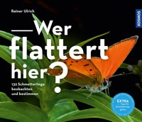 Wer flattert hier - Rainer Ulrich - E-Book