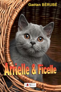 Arrielle et Ficelle - Gaétan Bérubé - E-Book