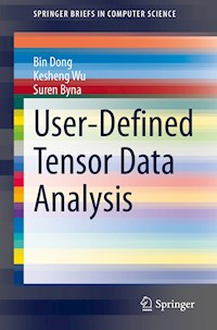 User-Defined Tensor Data Analysis - Bin Dong - E-Book