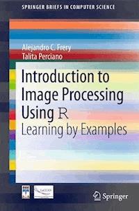 Introduction to Image Processing Using R - Alejandro C. Frery - E-Book