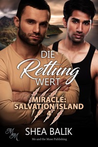 Die Rettung wert - Shea Balik - E-Book