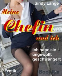 Meine Chefin und ich - Sindy Lange - E-Book