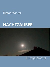 Nachtzauber - Tristan Winter - E-Book