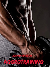 Aggrotraining - Joshua Hardon - E-Book