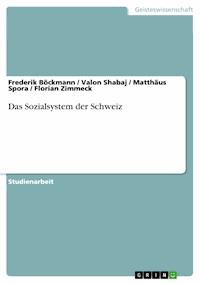 Das Sozialsystem der Schweiz - Frederik Böckmann - E-Book
