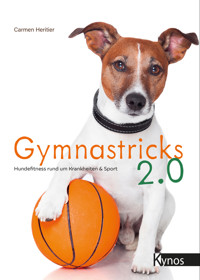 Gymnastricks 2.0 - Carmen Heritier - E-Book