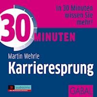 30 Minuten Karrieresprung - Martin Wehrle - Hörbuch
