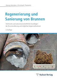 Regenerierung und Sanierung von Brunnen - Georg Houben - E-Book