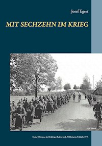 Mit sechzehn im Krieg - Josef Egert - E-Book