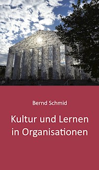 Kultur und Lernen in Organisationen - Bernd Schmid - E-Book