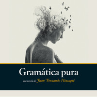 Gramática pura - Juan Fernando Hincapié - Hörbuch