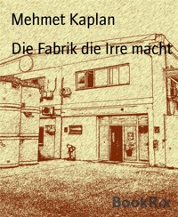 Die Fabrik die Irre macht - Mehmet Kaplan - E-Book