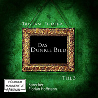 Das dunkle Bild, Band 3 (Ungekürzt) - Tristan Fiedler - Hörbuch