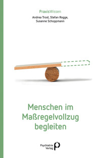 Menschen im Maßregelvollzug begleiten - Andrea Trost - E-Book