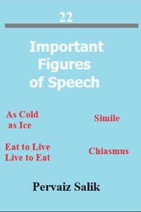 22 Important Figures of Speech - Pervaiz Salik - E-Book