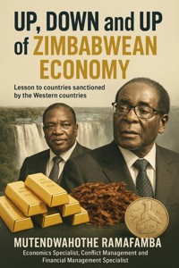 Up, Down And UP Of Zimbabwean Economy - AI (Artificial intelligence) - E-Book
