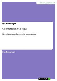 Geometrische Ur-Figur - Urs Böhringer - E-Book