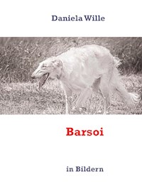 Barsoi - Daniela Wille - E-Book