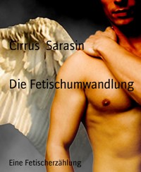 Die Fetischumwandlung - Cirrus Sarasin - E-Book