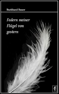 Federn meiner Flügel von gestern - Burkhard Bauer - E-Book