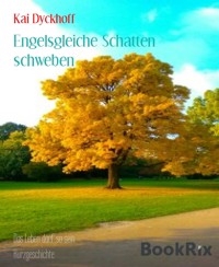Engelsgleiche Schatten schweben - Kai Dyckhoff - E-Book