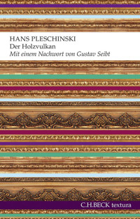 Der Holzvulkan - Hans Pleschinski - E-Book