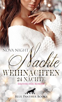 Nackte Weihnachten - 24 Nächte | Erotischer Roman - Nova Night - E-Book