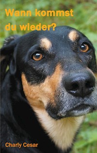 Wann kommst du wieder? - Charly Cesar - E-Book