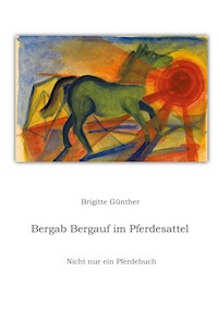 Bergab Bergauf im Pferdesattel - Brigitte Günther - E-Book