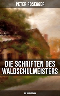 Die Schriften des Waldschulmeisters (Ein Heimatroman) - Peter Rosegger - E-Book