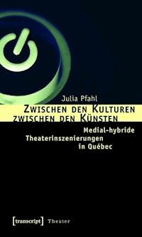 Zwischen den Kulturen – zwischen den Künsten - Julia Pfahl - E-Book