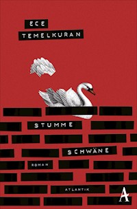 Stumme Schwäne - Ece Temelkuran - E-Book