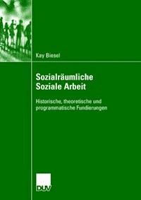 Sozialräumliche Soziale Arbeit - Kay Biesel - E-Book