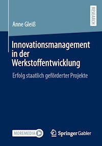 Innovationsmanagement in der Werkstoffentwicklung - Anne Gleiß - E-Book