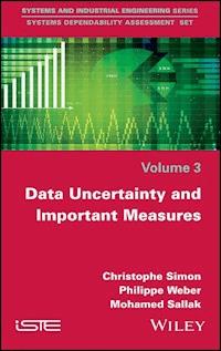 Data Uncertainty and Important Measures - Christophe Simon - E-Book