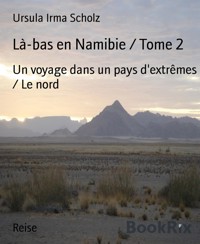 Là-bas en Namibie / Tome 2 - Ursula Irma Scholz - E-Book