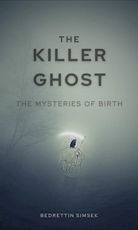 The Killer Ghost - Bedrettin Simsek - E-Book