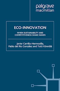 Eco-Innovation - Javier Carrillo-Hermosilla - E-Book