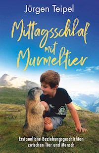 Mittagsschlaf mit Murmeltier - Jürgen Teipel - E-Book