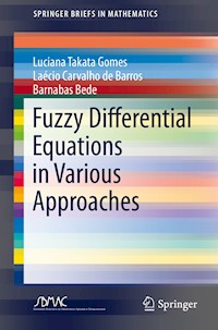 Fuzzy Differential Equations in Various Approaches - Luciana Takata Gomes - E-Book