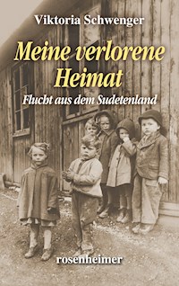 Meine verlorene Heimat - Viktoria Schwenger - E-Book