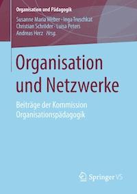 Organisation und Netzwerke - - E-Book
