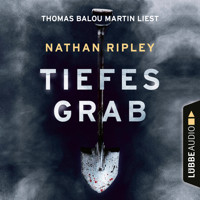 Tiefes Grab - Jeder Held hat eine dunkle Seite. Man muss nur tief genug graben (Ungekürzt) - Nathan Ripley - Hörbuch