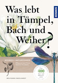 Was lebt in Tümpel, Bach und Weiher - Wolfgang Engelhardt - E-Book